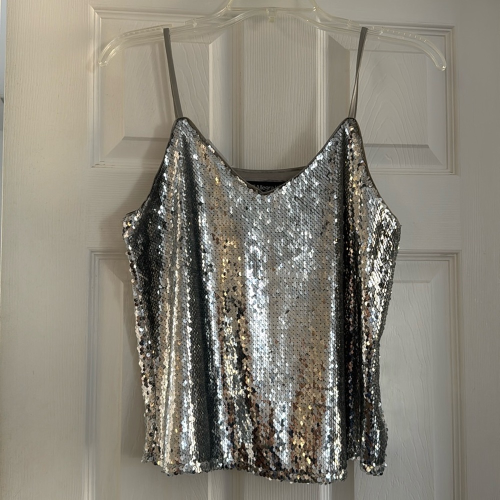 Silver Sequined top